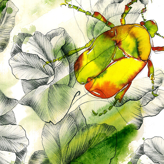 Skarabeusz 2 - grafika Karolina Kierat