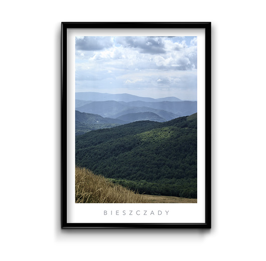 Plakat Bieszczady #3  Bury Lis