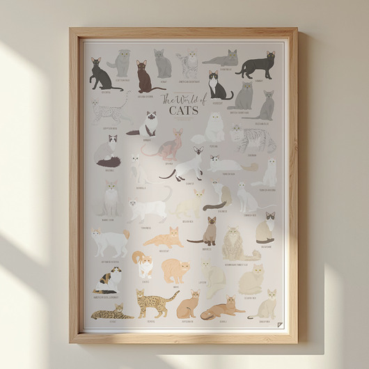 plakaty Plakat The Worlds of Cats