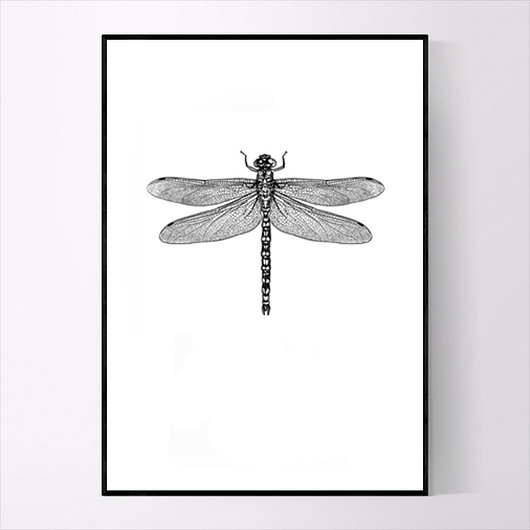 Plakat DRAGONFLY 13x18 CM MUKKO