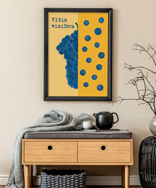 plakaty Winogrona - plakat fine art, giclee
