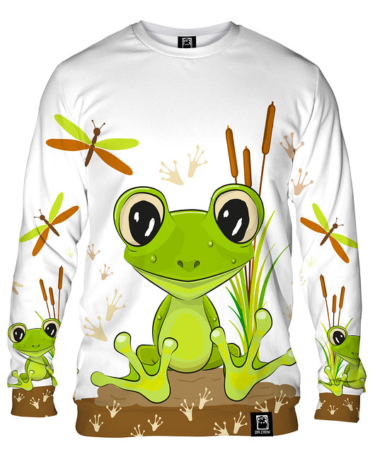 bluzy męskie Bluza Bez Kaptura Męska DR.CROW Cute Frog