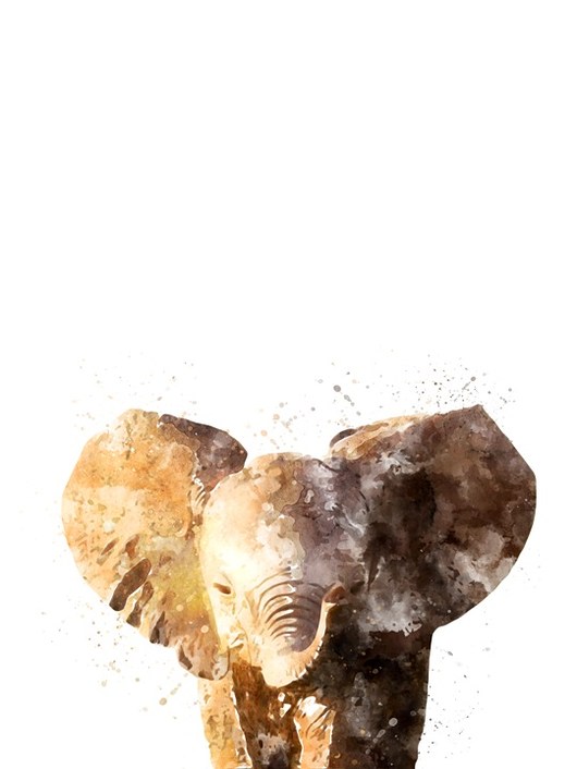 Plakat Słoń A3 almadecasa