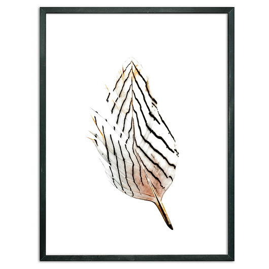Plakat PIÓRKO DEKOSKA