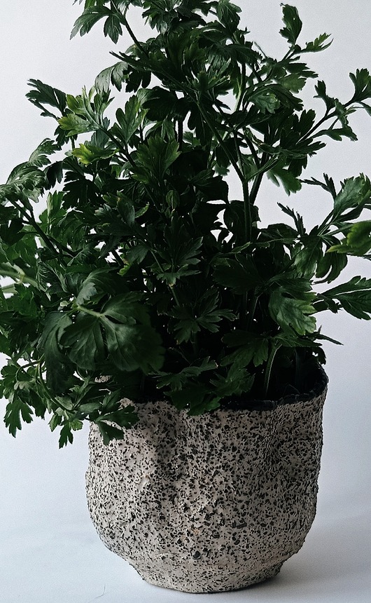 wazony Ceramiczny wazon pieprz i sól