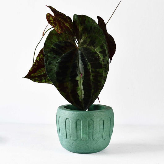 Doniczka B-Drop Green Betonove