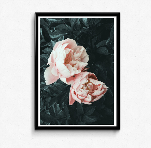 Piwonie #2 50x70 plakat Bury Lis