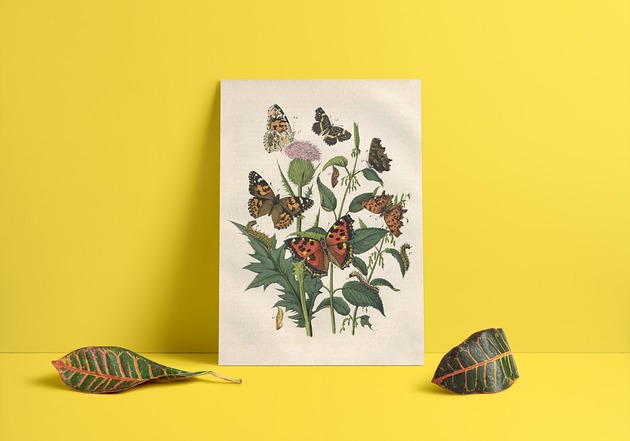 Plakat Motyle papiery pantery