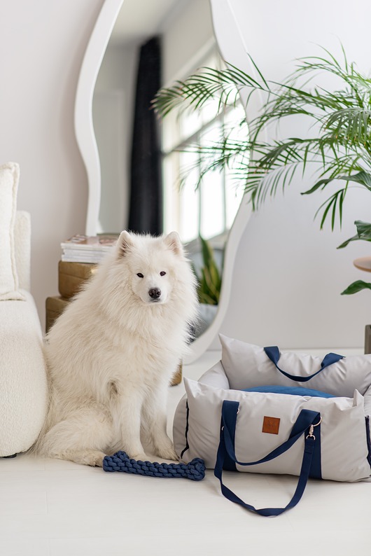 legowiska dla psów i kotów Legowisko przenośnie torba dla zwierząt Gray