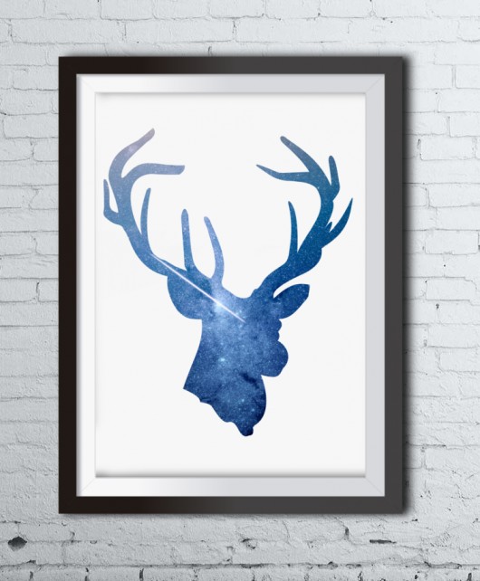 Plakat STARSAILOR, jeleń Colleco