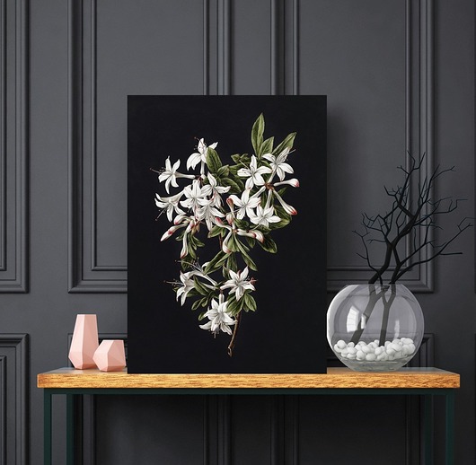 Plakat Black Flower HOG STUDIO