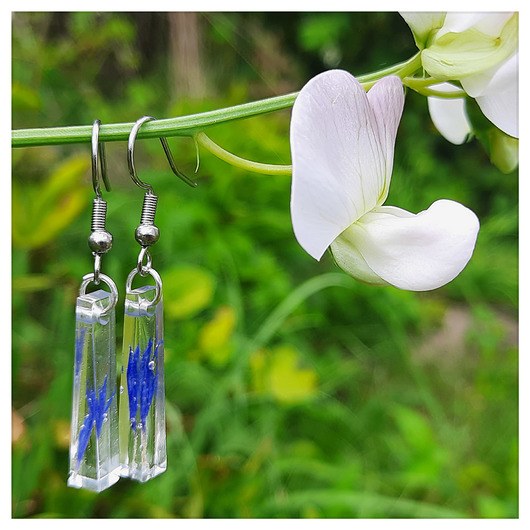 Kolczyki z zatopionymi płatkami chabrów, nr 2 Figa handmade accessories