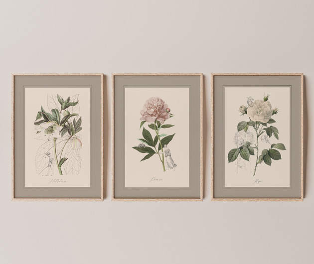plakaty Autorskie ilustracje botaniczne A3