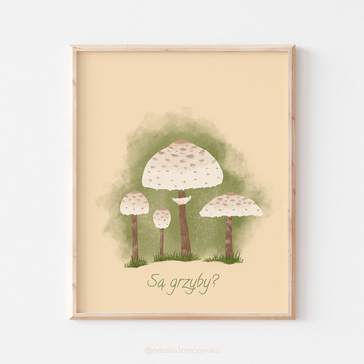 plakaty Plakat Kania Czubajka - Są grzyby?