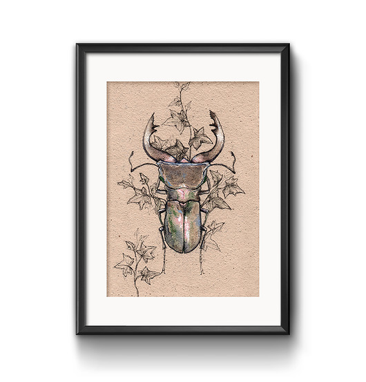 grafiki i ilustracje Jelonek z bluszczem, 30x21cm, A4