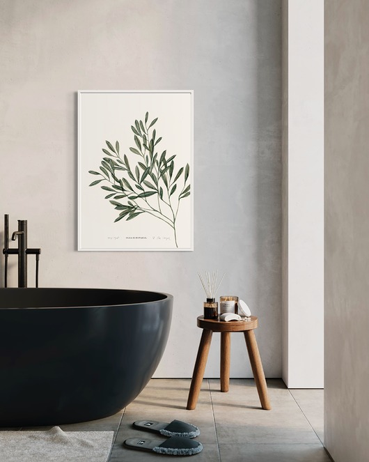 grafiki i ilustracje Oliwka print