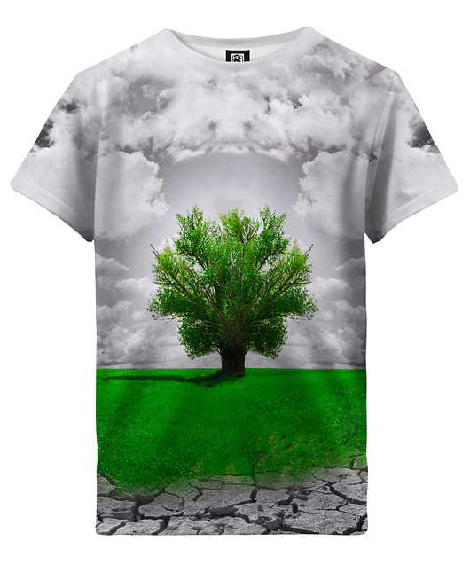 t-shirty dla chłopców T-shirt Boy DR.CROW Drzewo