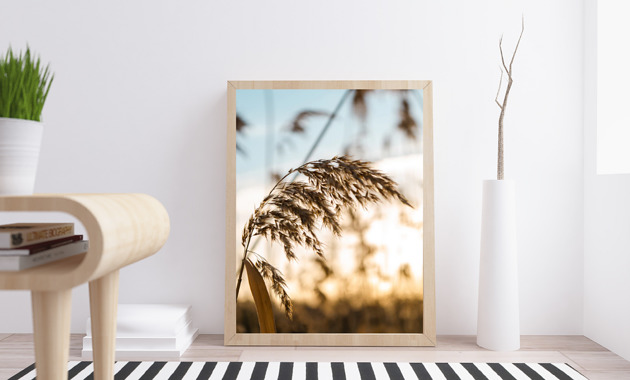 PLAKAT trawa pampasowa beżowy natura black dot studio
