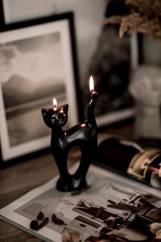 świeczniki i świece Świecza w kształcie Kota różne kolory Sontelia