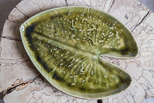 patery i talerze Talerzyk liść grążel