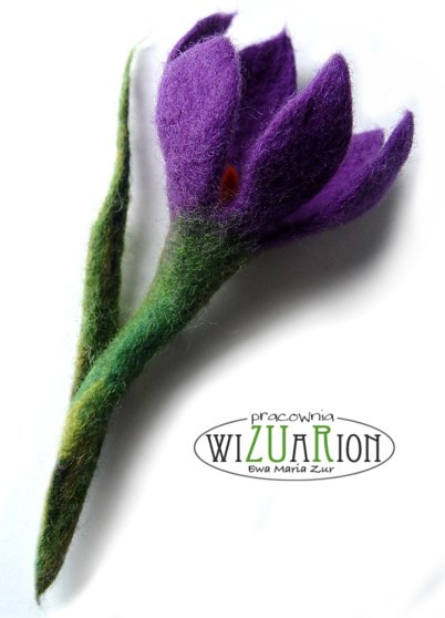 Tatrzanek WIZUARION