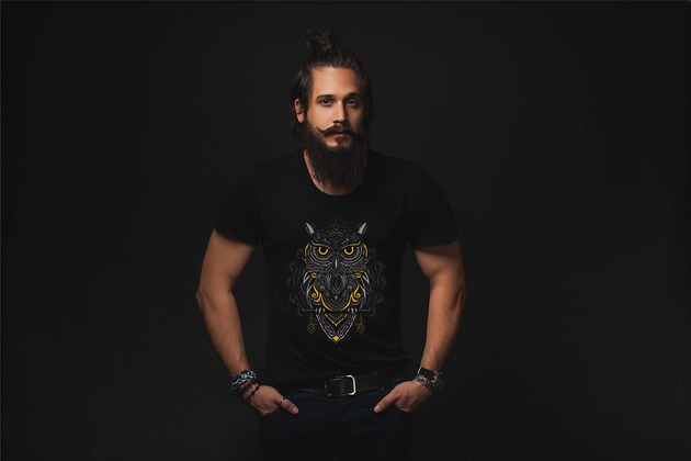 t-shirty męskie Koszulka organiczna z nadrukiem Etniczna sowa