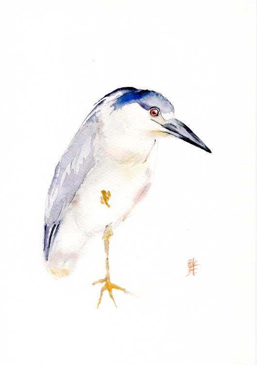 obrazy Oryginalna akwarela. Ślepowron