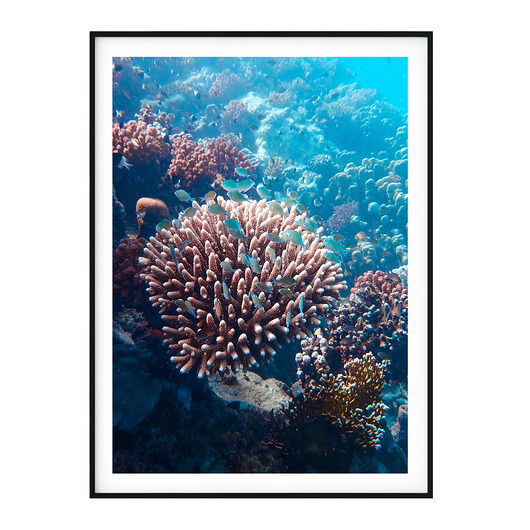 plakaty Plakat skandynawski Rafa koralowa no. 1 