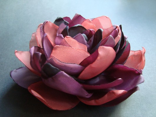 OMERO SundayRose