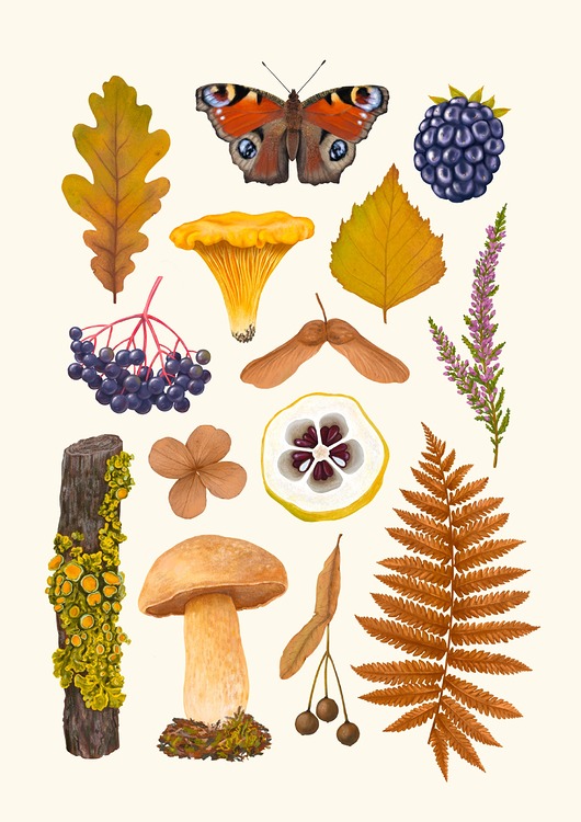 plakaty Plakat "Babie lato" 30x40 cm