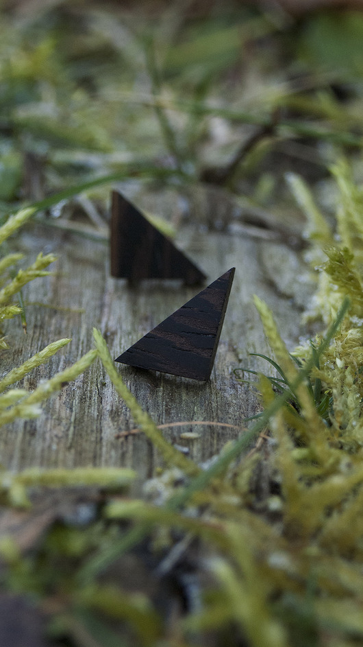 Wenge (Millettia laurentii) karol drevko