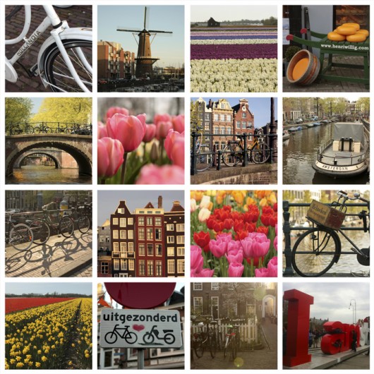 I Amsterdam Chilli Art