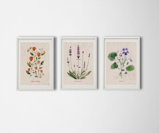 3 ilustracje botaniczne | A3 Anita Tomala
