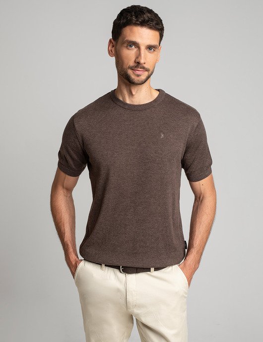 t-shirty męskie T-shirt dorzano brąz