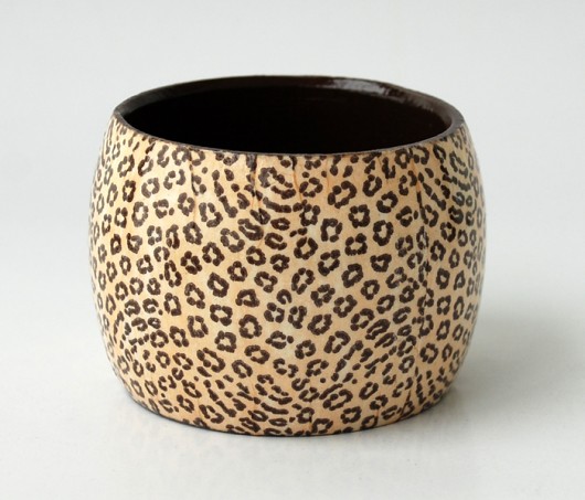 Jaguar artrachela