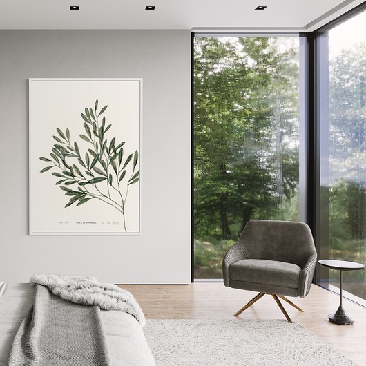 grafiki i ilustracje Oliwka / Fine Art Print