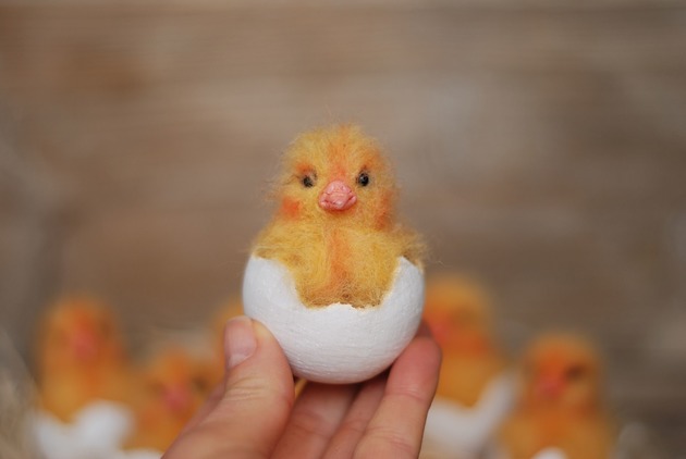 Wielkanoc - inne Kurczaczek Wielkanocny w skorupce