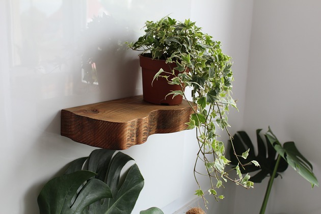 półki Półka ścienna z niewidocznym mocowaniem - ciemny brąz 39/14 cm