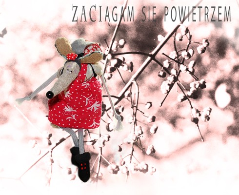 mysz na szczęście Uszate