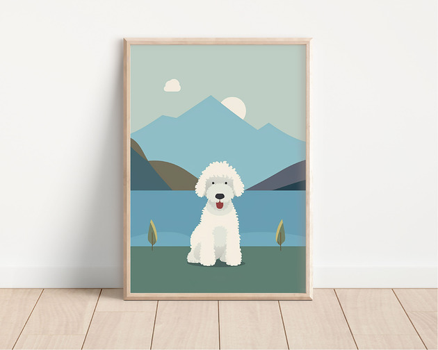 plakaty Plakat lagotto romagnolo