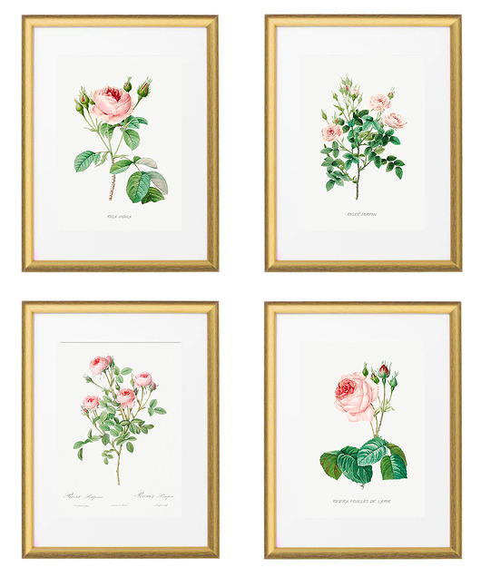 Różyczki - zestaw plakatów botanicznych White Rose Peonies 