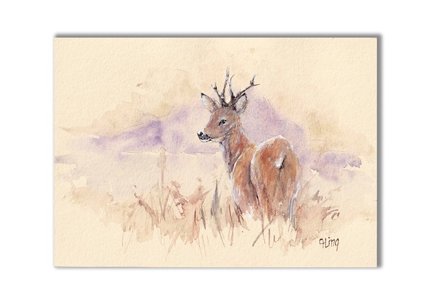 grafiki i ilustracje Sarna. Akwarela ręcznie malowana