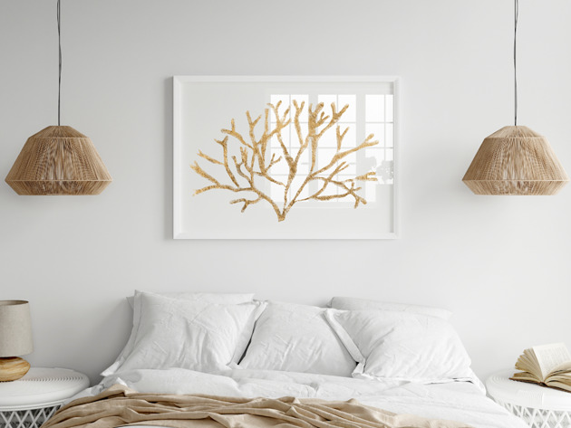 grafiki i ilustracje PLAKAT dekoracyjny ,koralowiec grafika, beżowy obraz