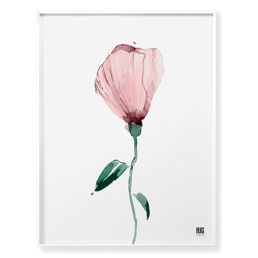 Plakat Kwiaty 4 roz. 61x91 cm Hug The Stuff