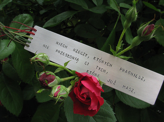 Zakładka - "Niech rzeczy, których pragniesz... Hundred Bookmarks