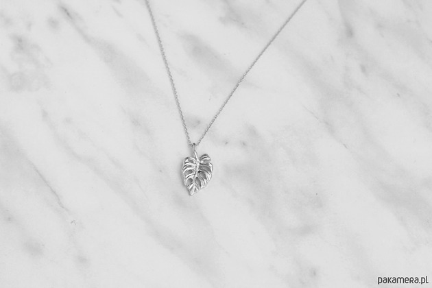 srebrne naszyjniki Rhodium Plated Monstera Necklace