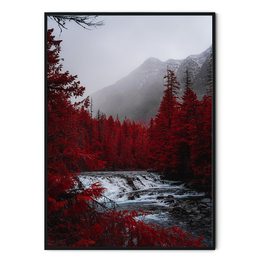 Plakat skandynawski Czerwony Las no. 1 myscandi