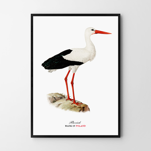 plakaty Plakat BOCIAN