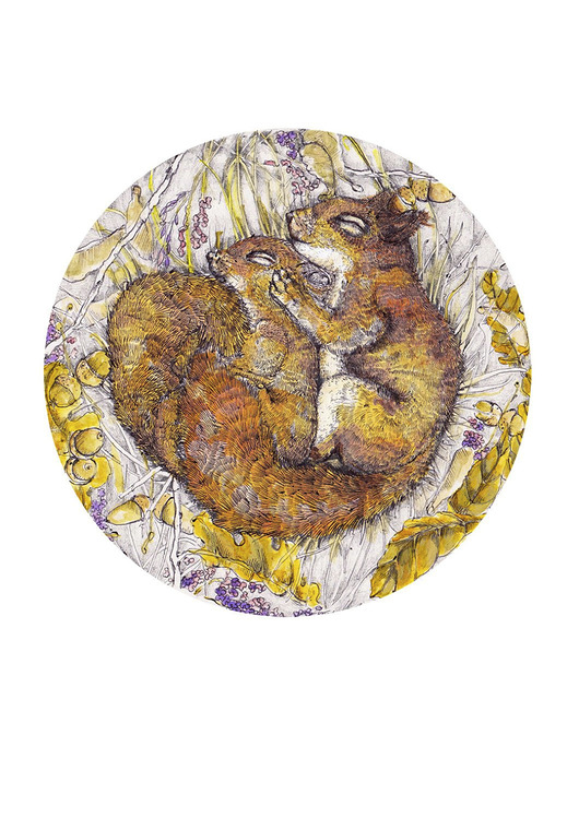 grafiki i ilustracje Wiewiórka Valentina - Grafika - Ilustracja na ścianę