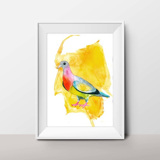 "Tęczowy gołąb" akwarela 25x35 cm Warsaw Birds